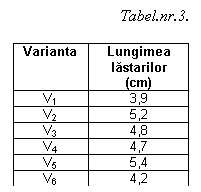 Text Box: Tabel.nr.3.

Varianta	Lungimea lastarilor (cm)
V1	3,9
V2	5,2
V3	4,8
V4	4,7
V5	5,4
V6	4,2

