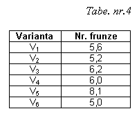 Text Box: Tabe. nr.4

Varianta	Nr. frunze
V1	5,6
V2	5,2
V3	6,2
V4	6,0
V5	8,1
V6	5,0

