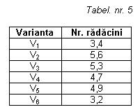 Text Box: Tabel. nr. 5

Varianta	Nr. radacini
V1	3,4
V2	5,6
V3	5,3
V4	4,7
V5	4,9
V6	3,2

