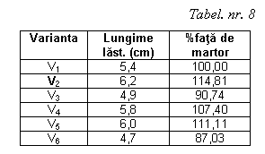 Text Box: Tabel. nr. 8
Varianta	Lungime last. (cm)	%fata de martor
V1	5,4	100,00
V2	6,2	114,81
V3	4,9	90,74
V4	5,8	107,40
V5	6,0	111,11
V6	4,7	87,03


