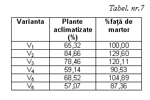 Text Box: Tabel. nr.7
Varianta	Plante aclimatizate (%)	%fata de martor
V1	65,32	100,00
V2	84,66	129,60
V3	78,46	120,11
V4	59,14	90,53
V5	68,52	104,89
V6	57,07	87,36


