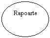 Oval: Rapoarte