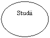 Oval: Studii