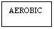 Text Box: AEROBIC