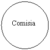 Oval: Comisia
