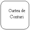 Rounded Rectangle:    Curtea de        
    Conturi
