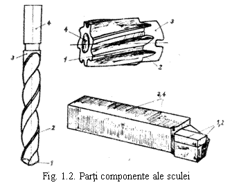 Text Box: 
Fig. 1.2. Parti componente ale sculei
