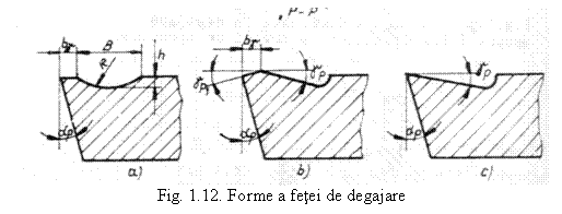 Text Box: 
Fig. 1.12. Forme a fetei de degajare
