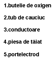 Text Box: 1.butelie de oxigen

2.tub de cauciuc

3.conductoare

4.piesa de taiat

5.portelectrod
