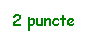 Text Box: 2 puncte