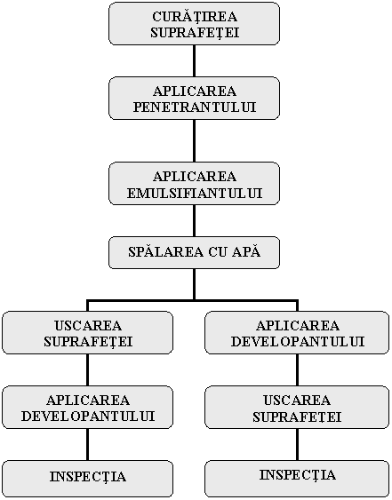 Organization Chart