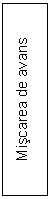 Text Box: Miscarea de avans