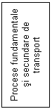 Text Box: Procese fundamentale si secundare de transport