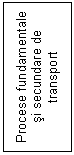 Text Box: Procese fundamentale si secundare de transport