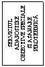 Text Box: SERVICIUL ADAPOSTIRE OBIECTIVE SPECIALE SI ASANARE PIROTEHNICA
