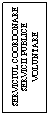 Text Box: SERVICIUL COORDONARE SERVICII PUBLICE VOLUNTARE