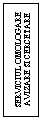 Text Box: SERVICIUL OMOLOGARE AVIZARE SI CERCETARE