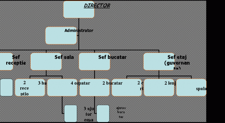 Organization Chart