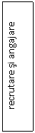 Text Box: recrutare si angajare