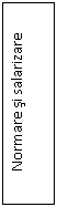 Text Box: Normare si salarizare