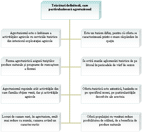 Organization Chart