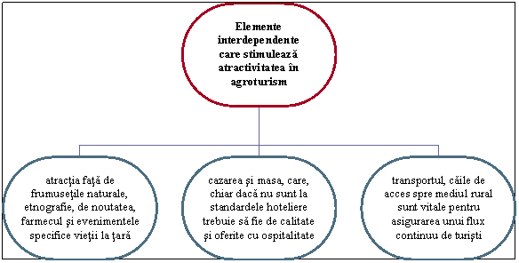 Organization Chart