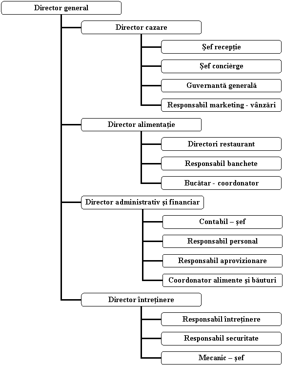 Organization Chart