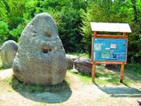 Rezervatia Naturala Muzeul Trovantilor este situata in sudul comunei valcene Costesti, pe drumul national care face legatura intre Ramnicu Valcea si Targu Jiu