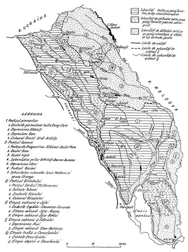 C:Documents and SettingsYonelaDesktopVaslui.geo.jpg